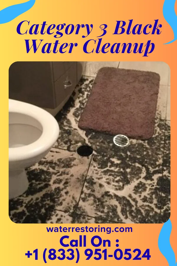 Category 3 Black Water Cleanup in Fountain Green, UT