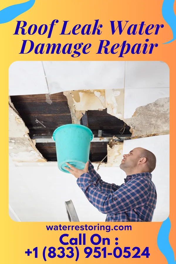 Roof Leak Water Damage Repair in Fountain Green, UT