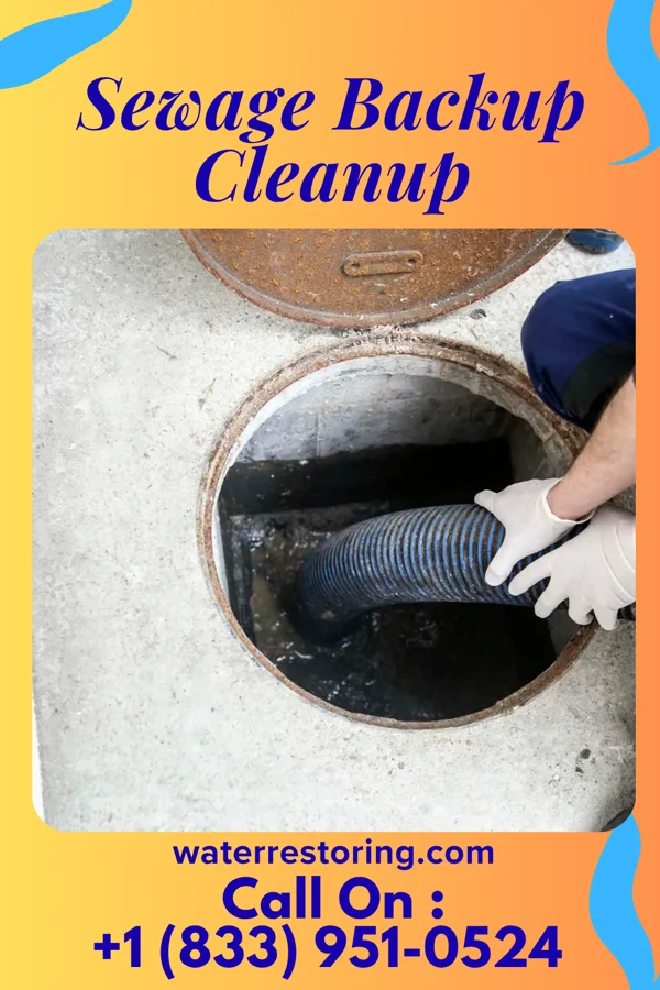 Sewage Backup Cleanup in Fountain Green, UT